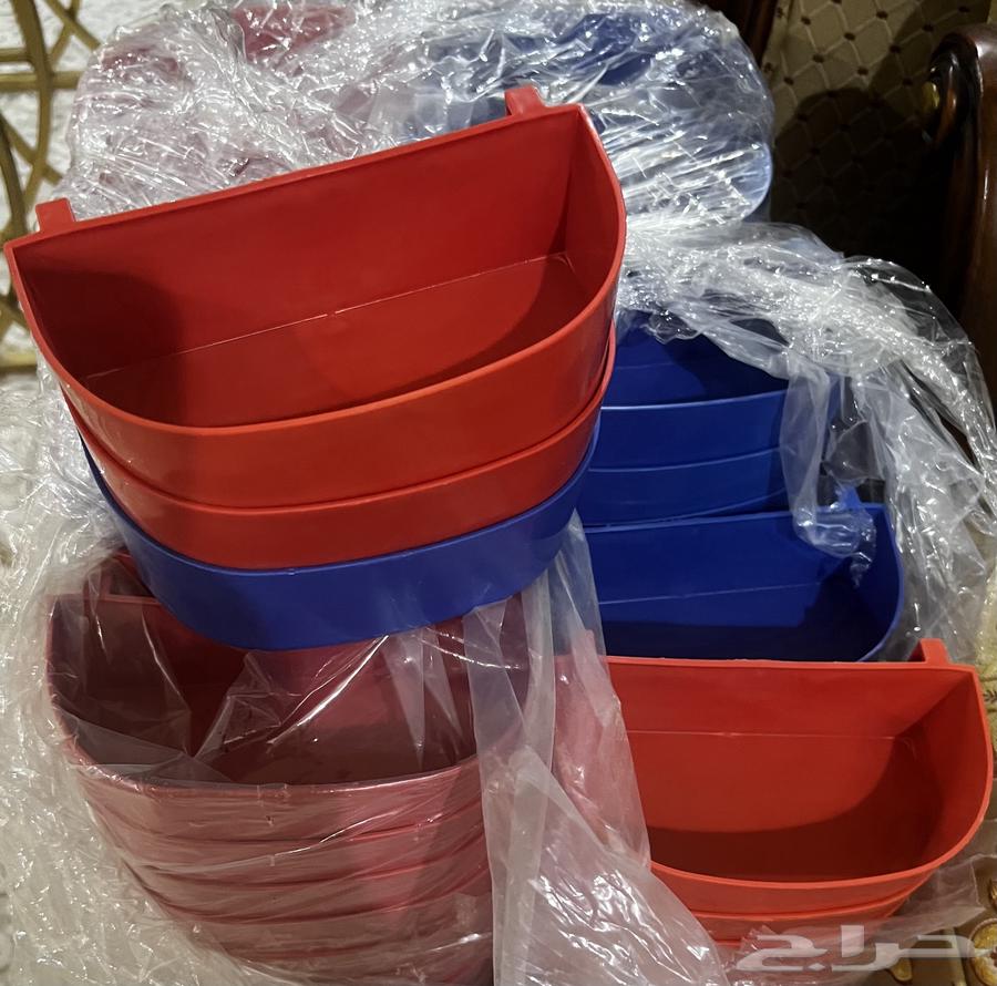 Feeds and Supplements Related To64621841912579112