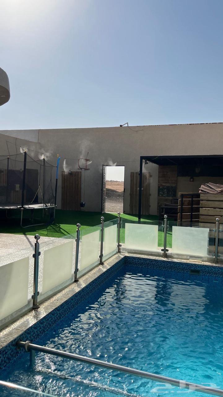 عروض رواتب على شاليهات للايجار جنوب الرياض حي عريض64622290332546111