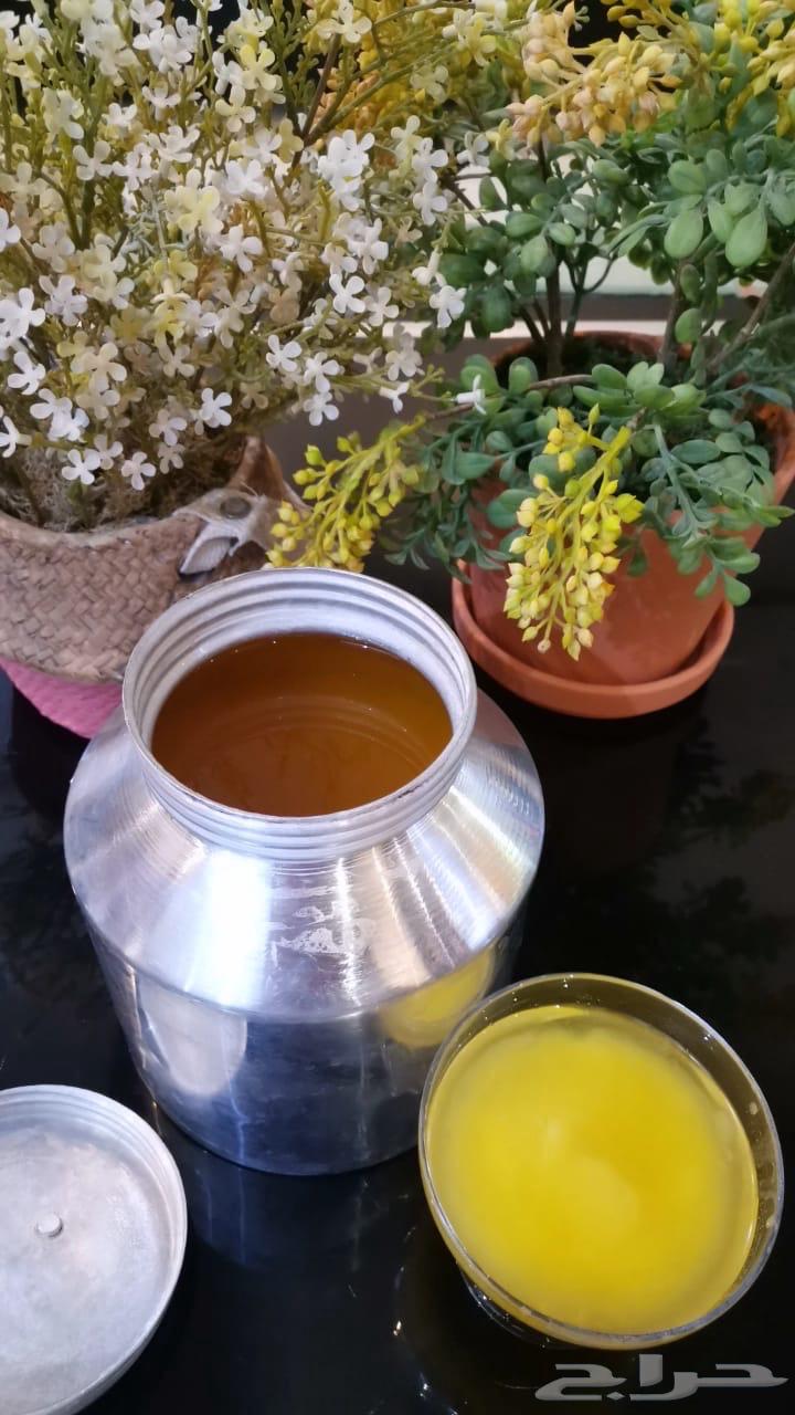 Domestic Goat Ghee: Available in Regular and Roasted Forms, as Well as Cow Ghee64621442606083112