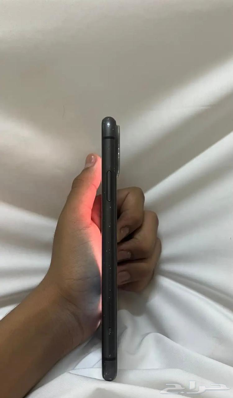 iPhone 11 Standard64616616264706112