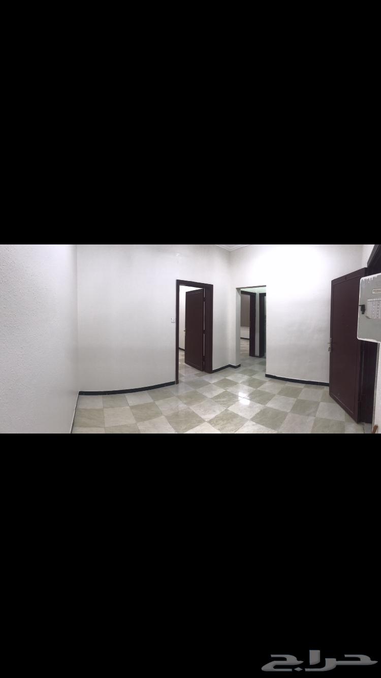 شقق عوايل سنوي جيزان حي الصفا64147808044546113