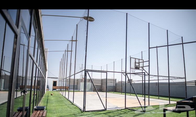 إشتراك نادي هير فتنس للبيع64617913196673114