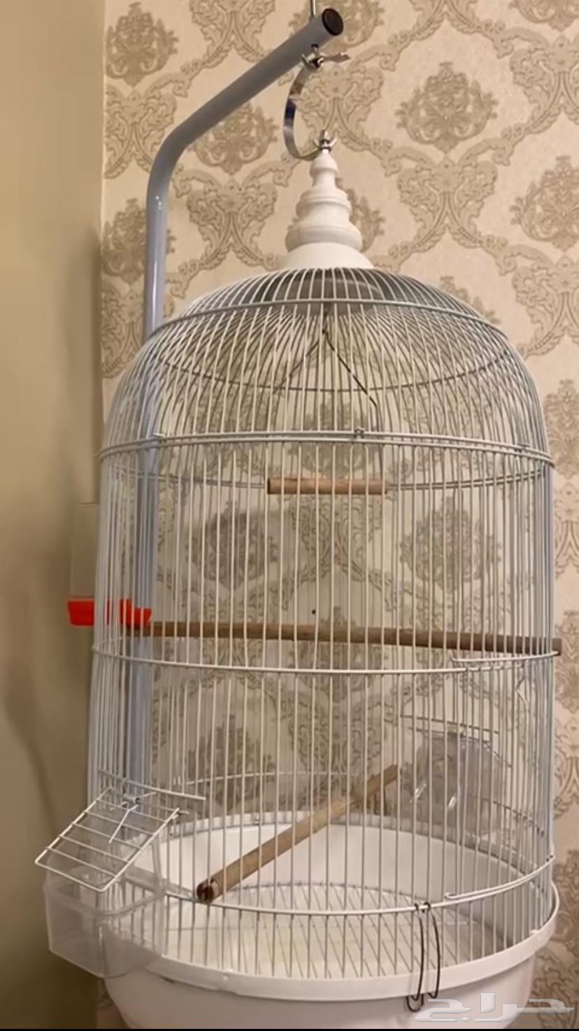 قفص طيور كبير64622041769090110