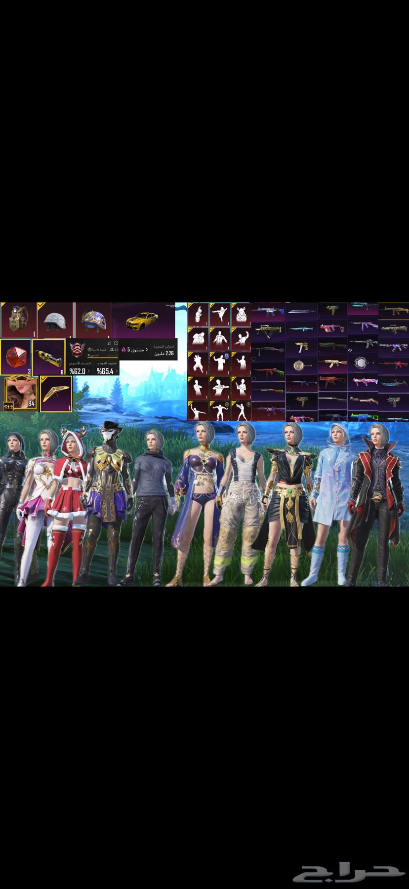 حساب ببجي64617213352450110