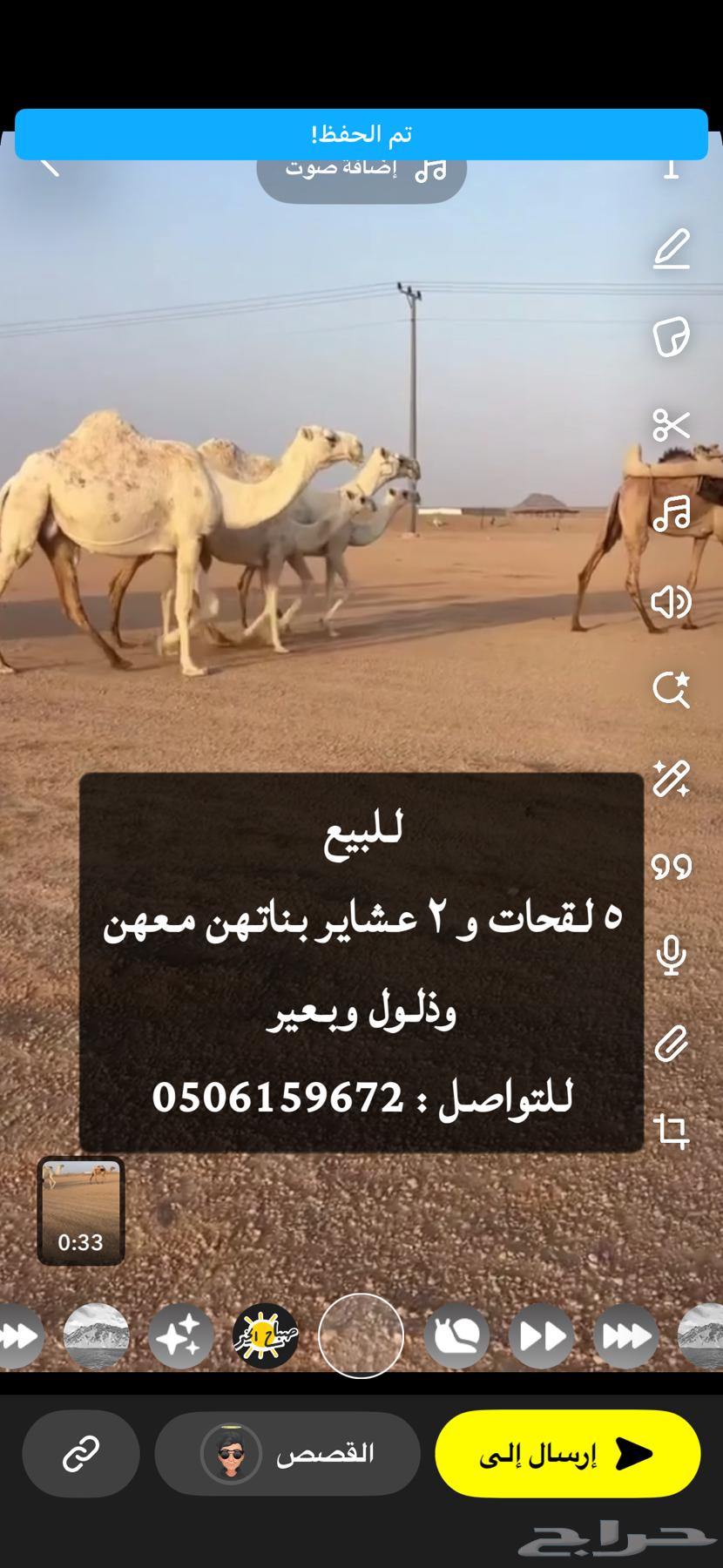 للبيع نياق64617813359745111