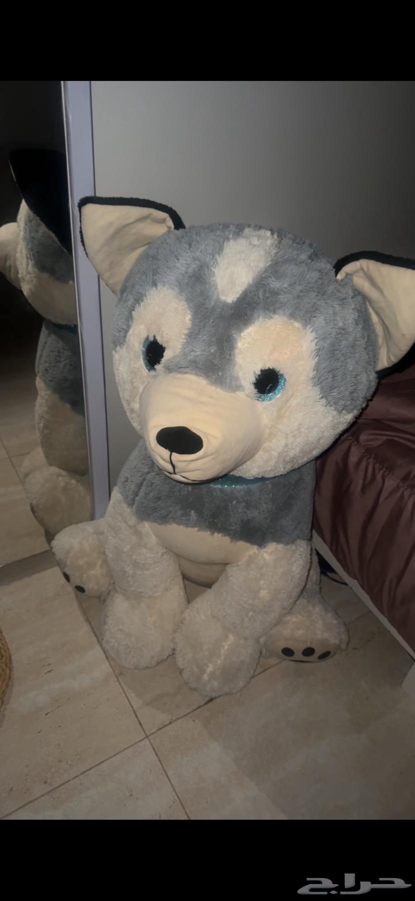 كلب هوسكي من ديزني64617515211779110