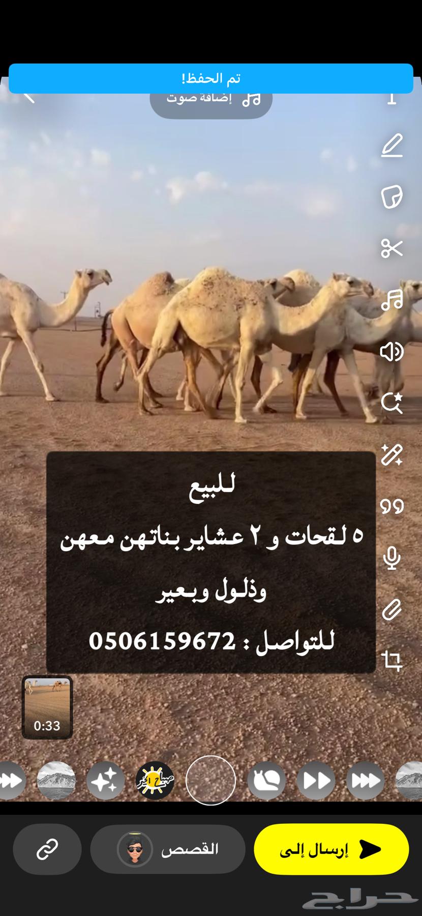 للبيع نياق64617813359745110