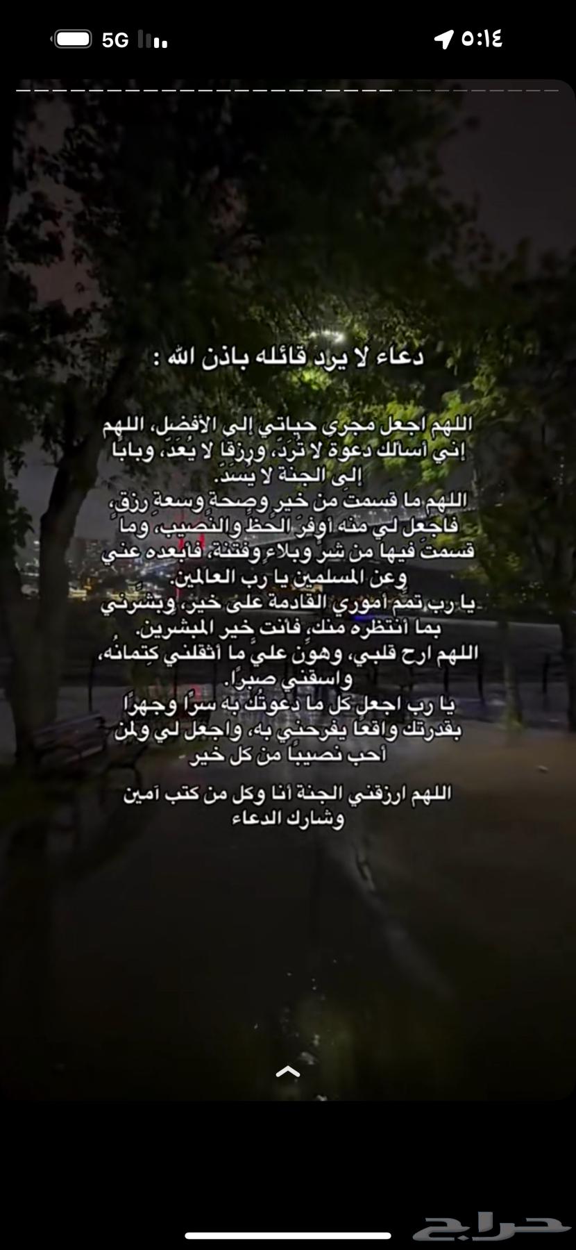 مطلوب شقة في حي المطار دور ارضي الله يجزأك خير وع 120064147424673154110