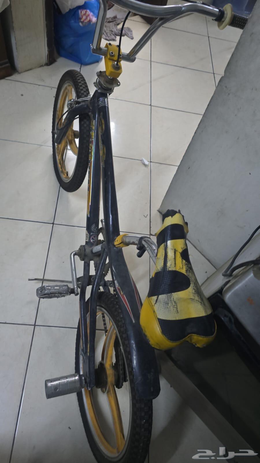 2 سيكل كوبرا بحالة ممتازة.64616703203585112