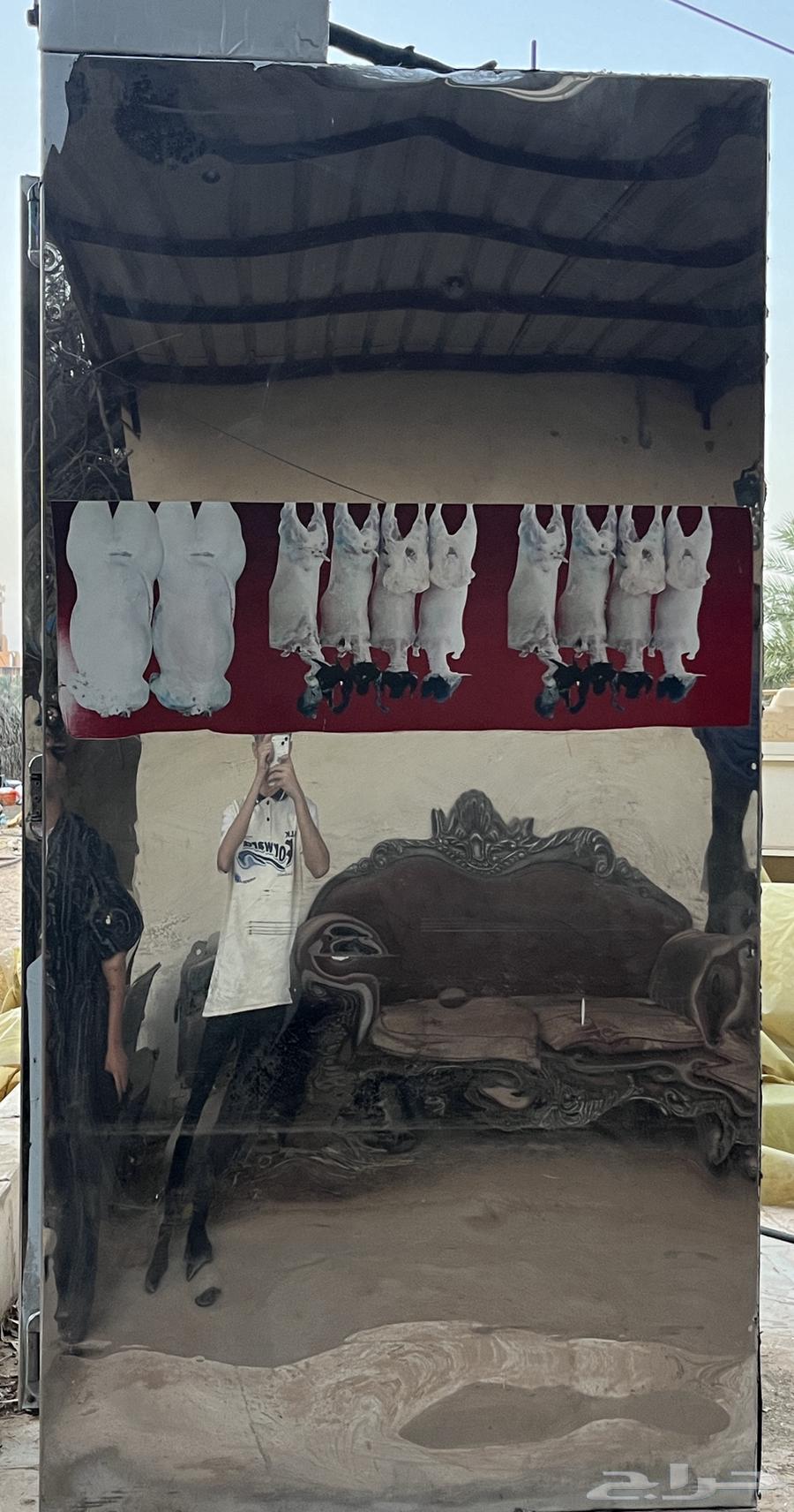 ثلاجه تخزين لحم مستعمله نضيف للبيع الطول64623318772993113