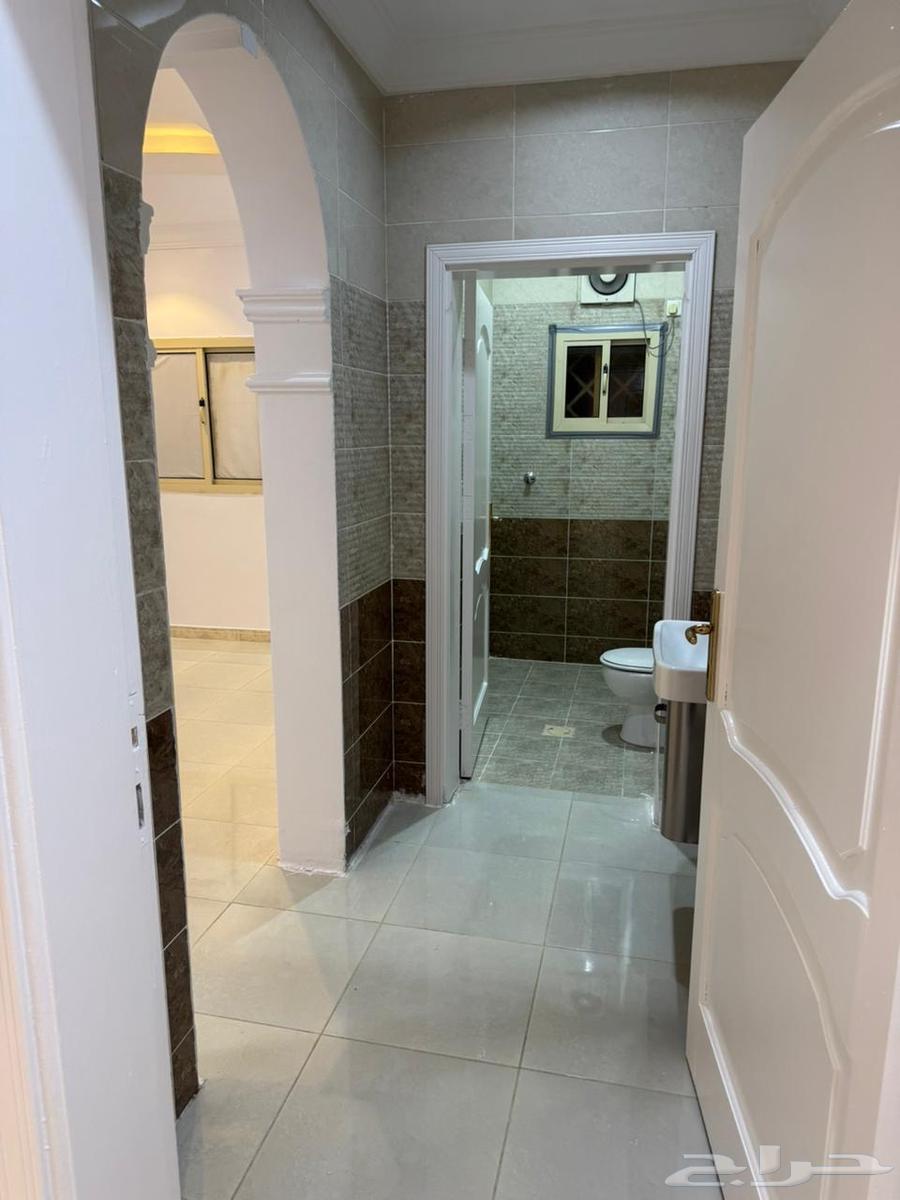 شقة للإيجار