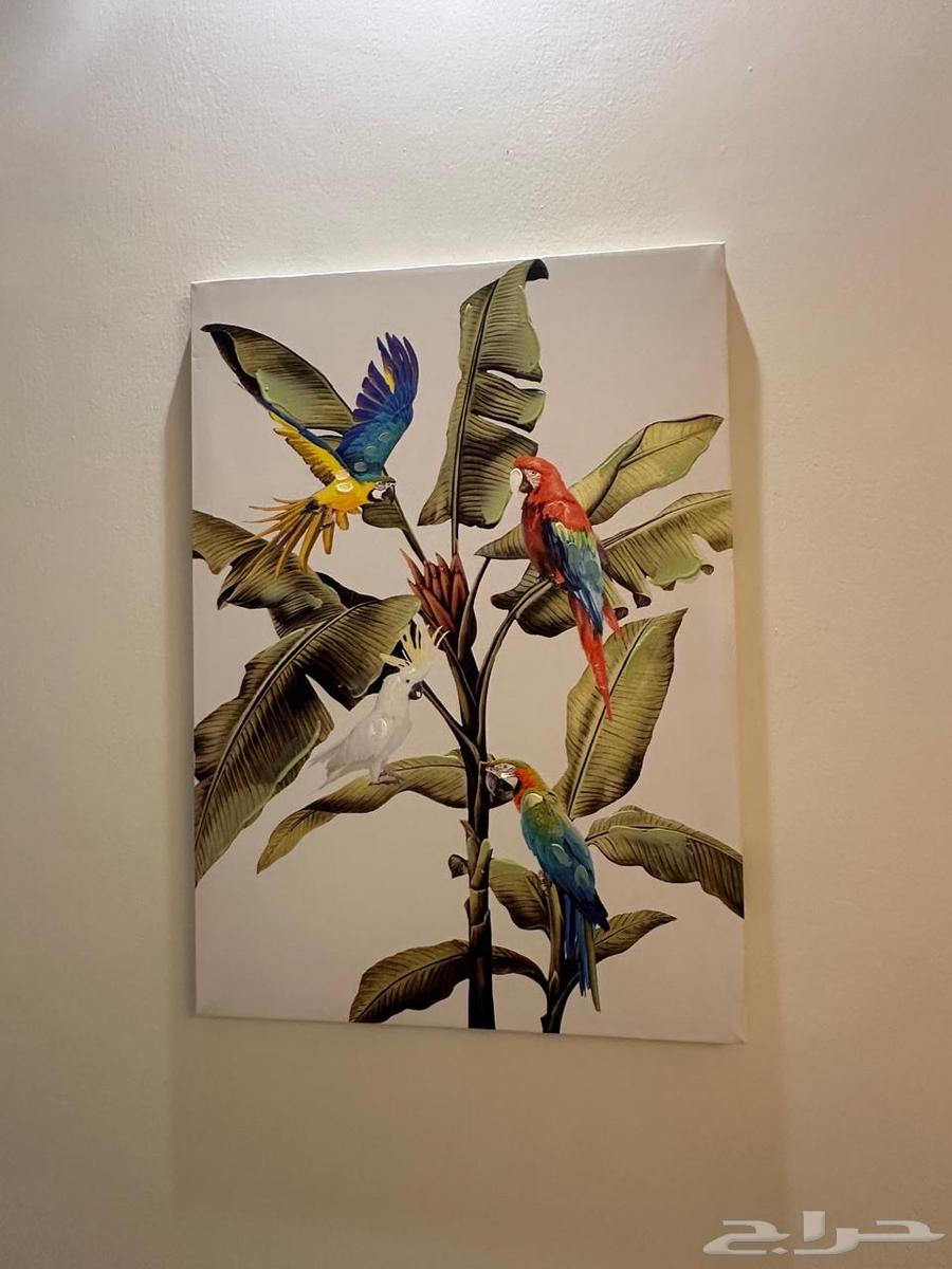 كنب زاوية وخزانة وطاولة تلفزيون ولوحات للبيع64618689422977112