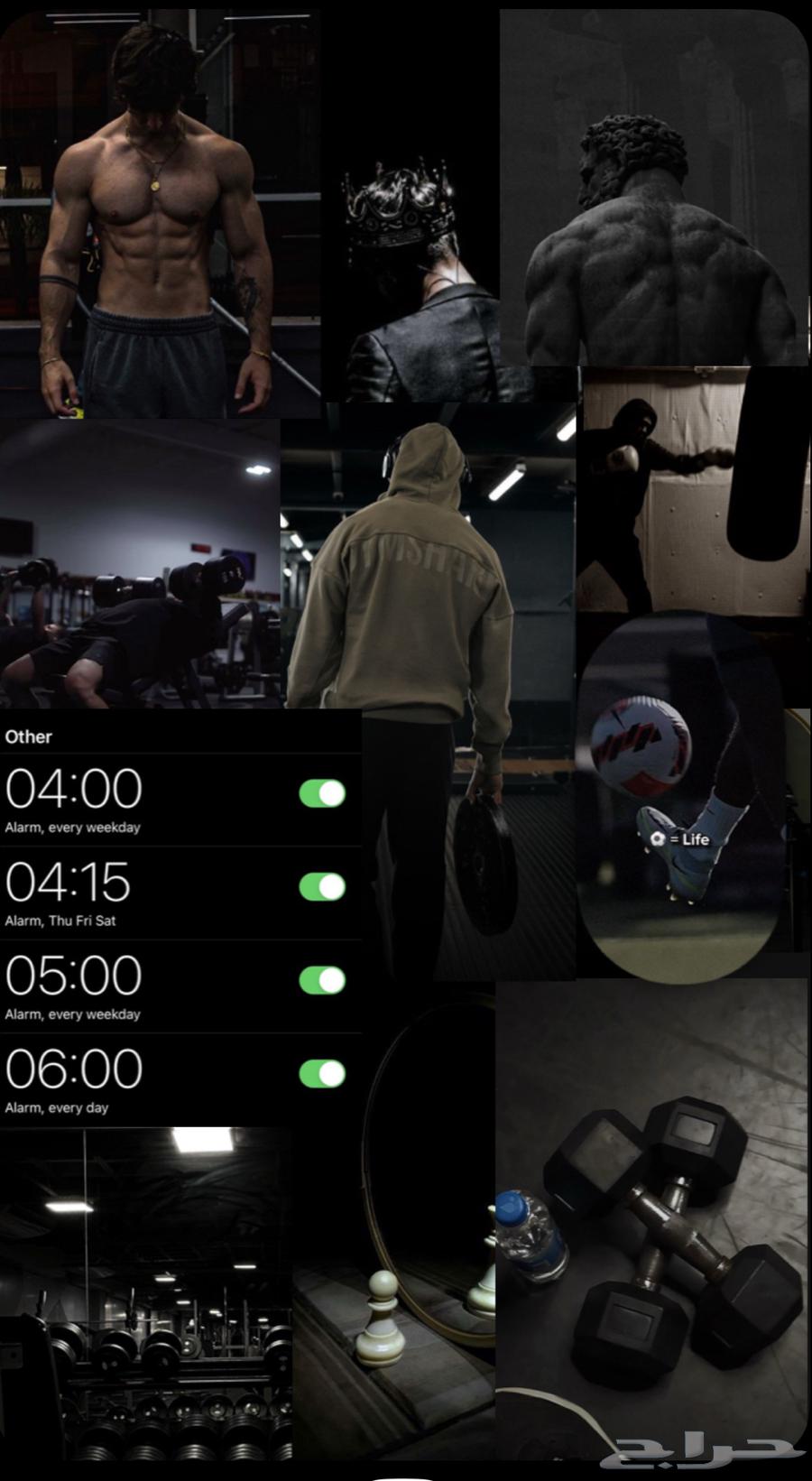 We Have the Perfect, Fun, and Effective Gym System64623653959939110