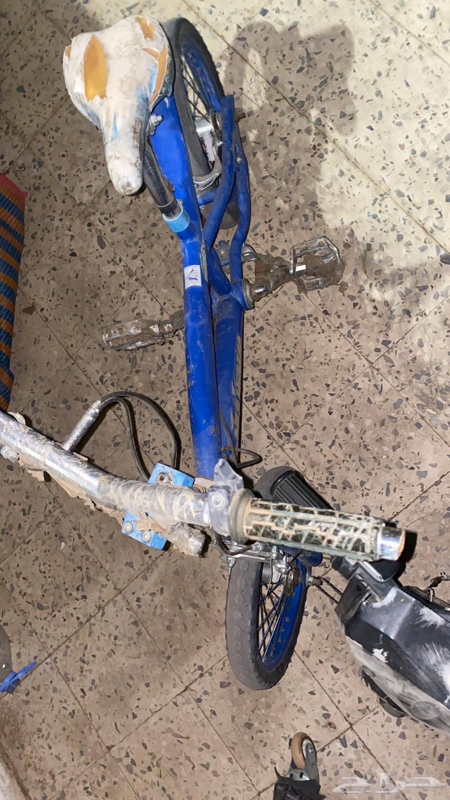 Scooters and bicycles for sale only64525497041026114