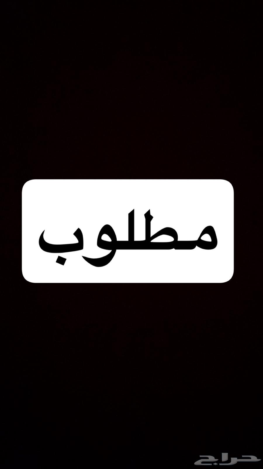مطلوب شقة للإجار64148026307586110