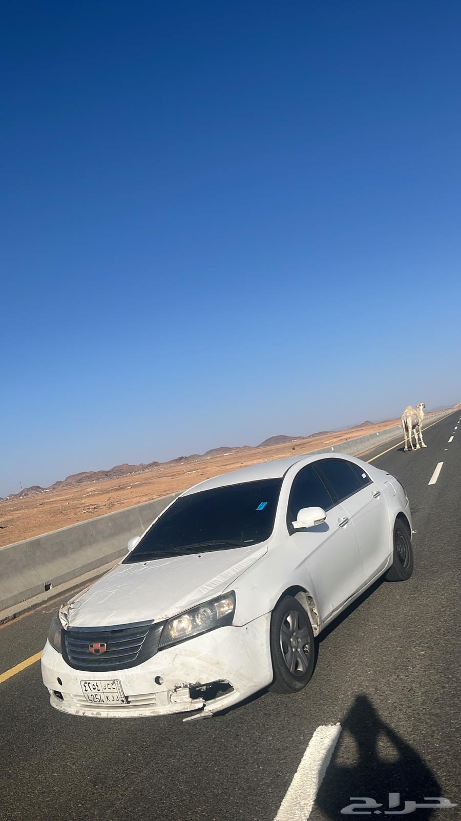 جيلي 201464836832798211111