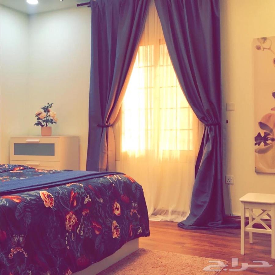 شقة للإيجار