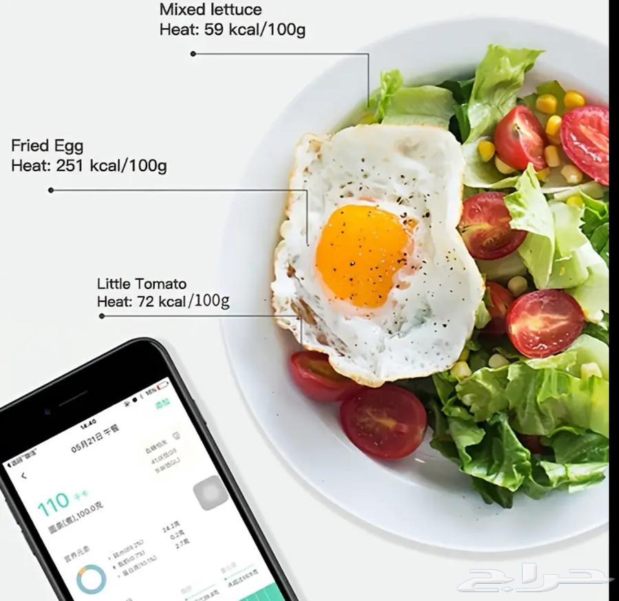 Electronic scale that measures muscle and fat (new)64508985569282111