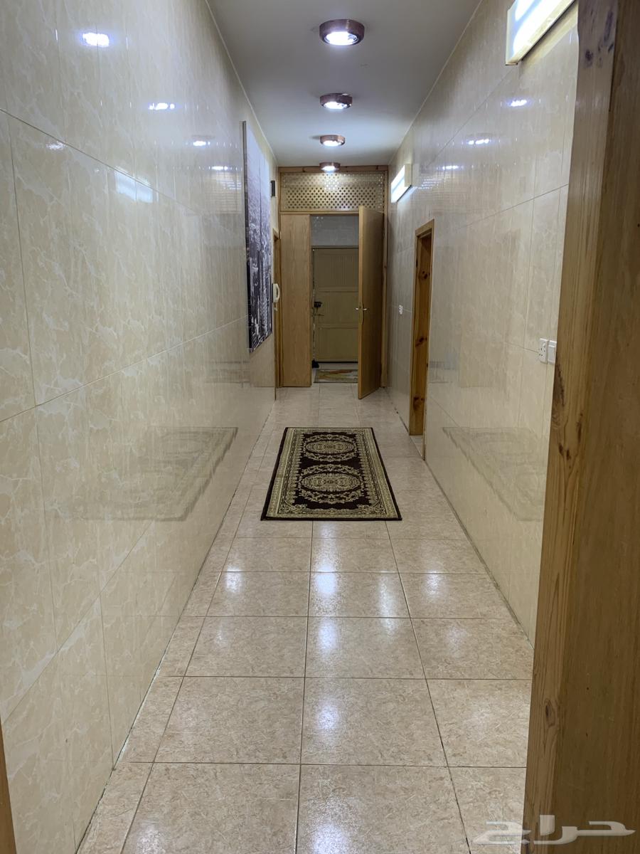 دور أرضي للإيجار الشهري64148024148609111