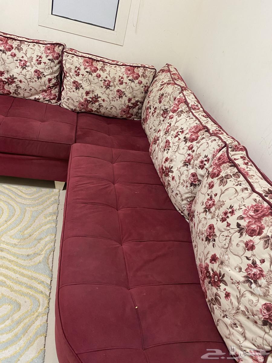 L-Shaped Sofa64642264579074111