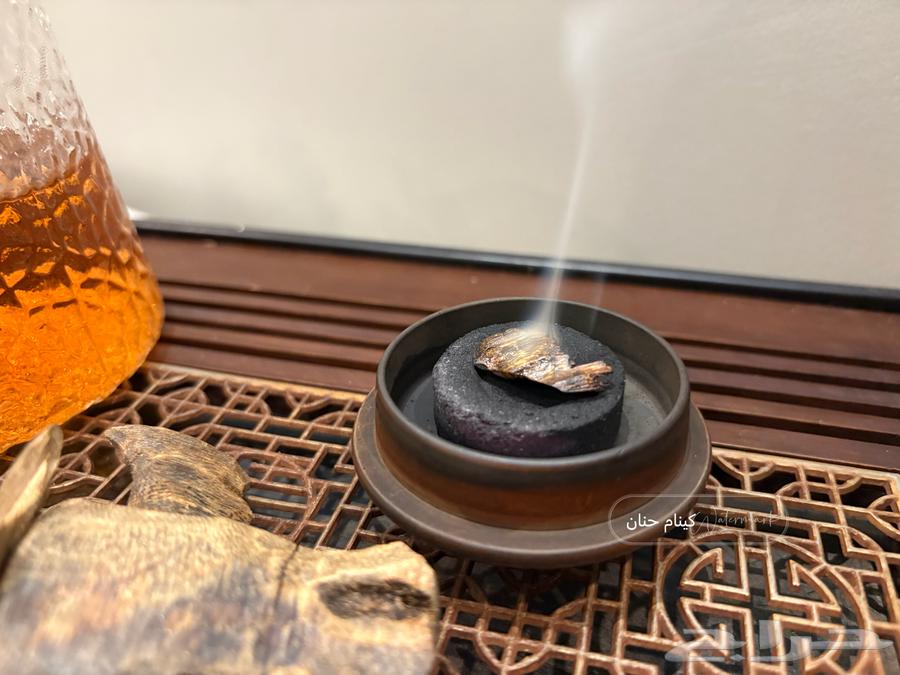 عود كينام مستزرع طبيعي64634492984195112