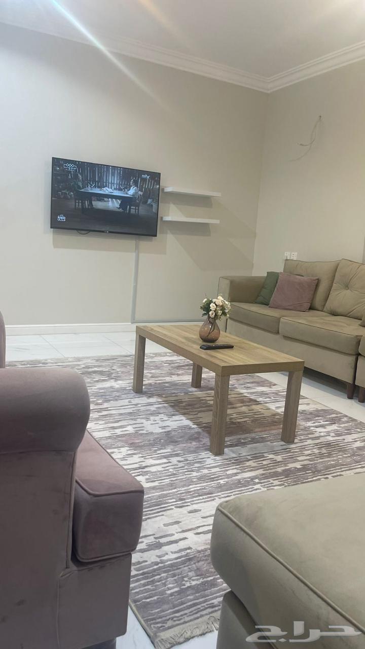شقة جديدة مفروشة لايجار64143180802691111