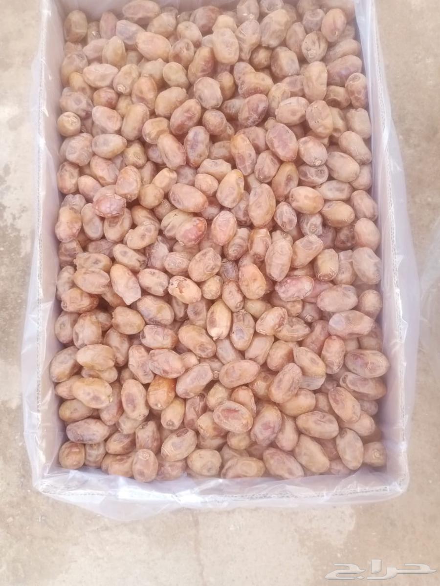 تمر خلاص القصيم فاخر64407238338818111