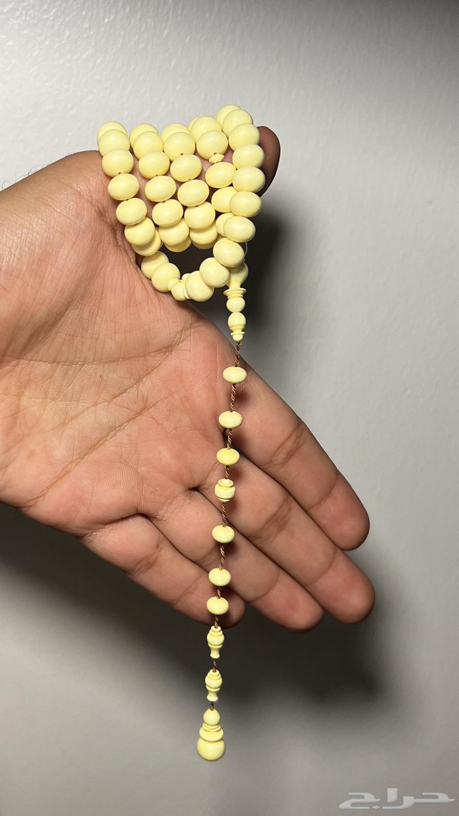 دومنه ذروي64431291670530113