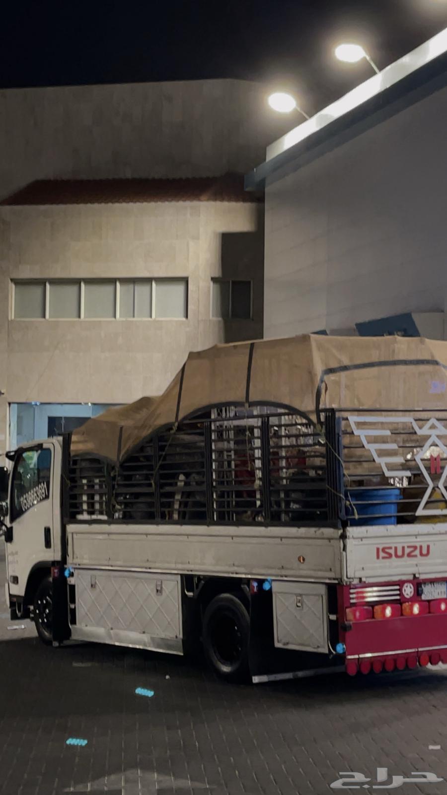 شركة شحن ونقل الاثاث دنه دينا64163698805378110