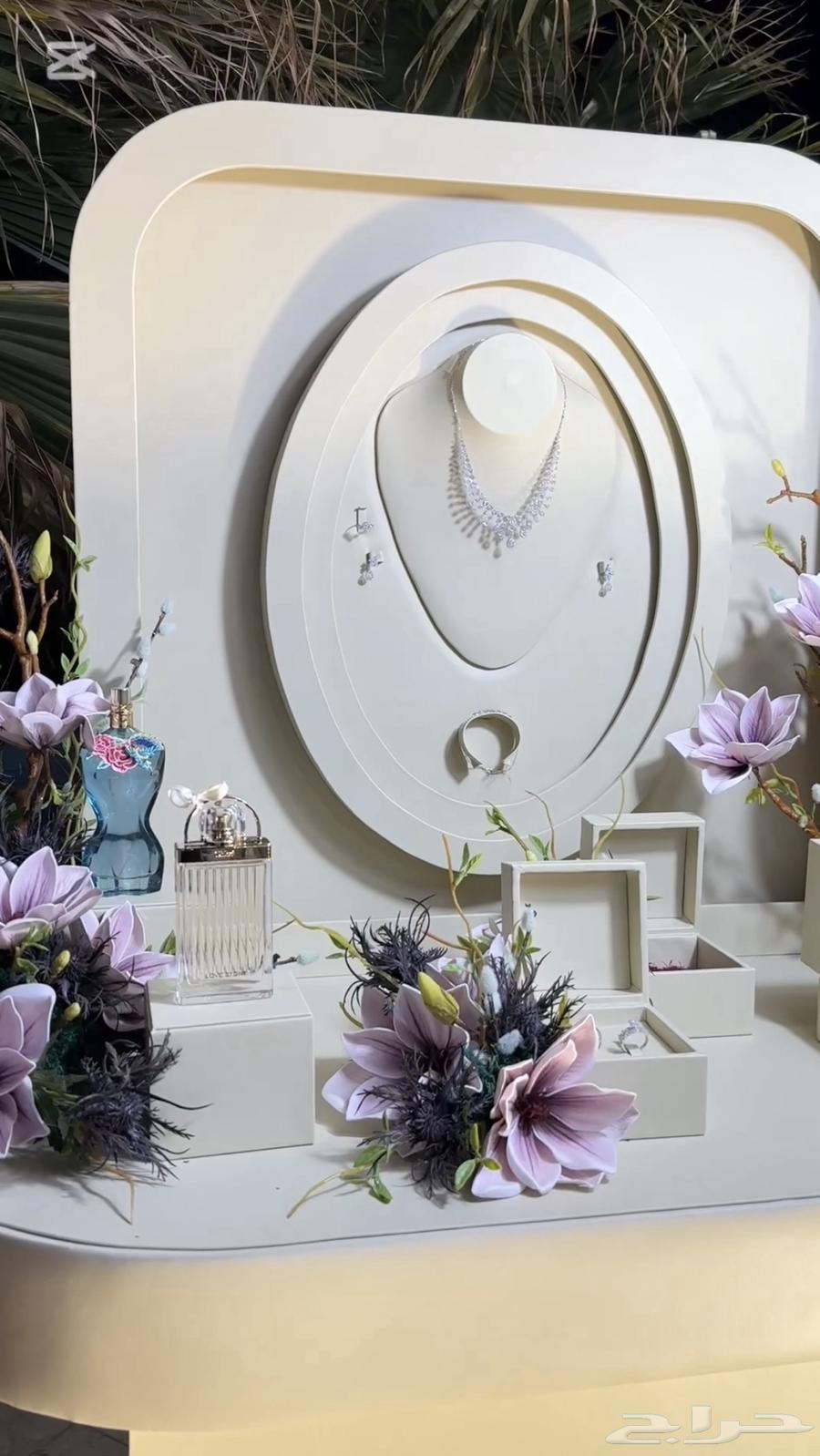 عربية شبكة مع اضاءتها وكامل ملحقاتها  ب1000 قابل للتفاوض64644555187330111