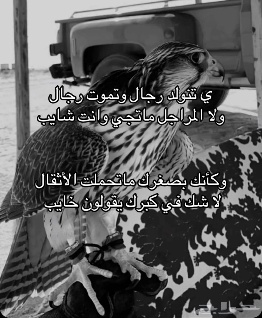 سطحه نقل السيارات ب الرس (وباقي مناطق القصيم)   ا64163068591361113