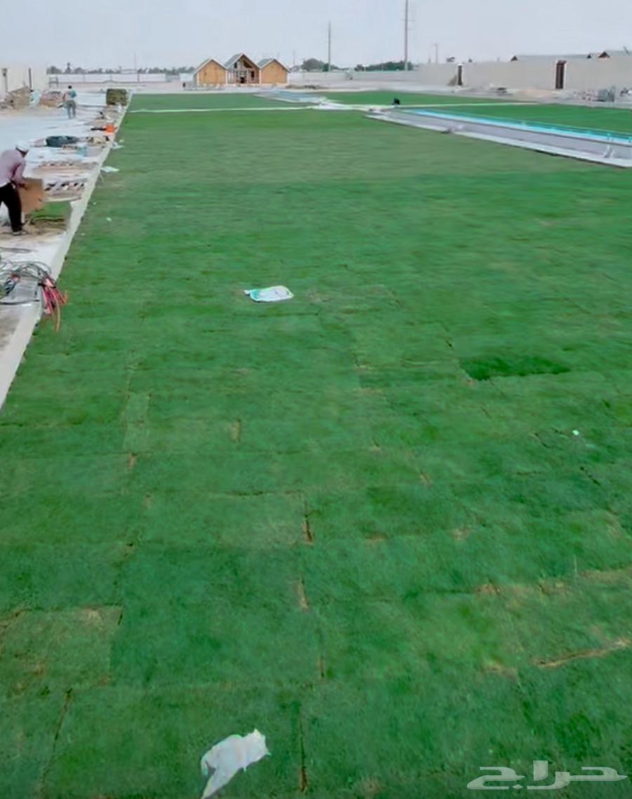 Agriculture, Gardens, and Irrigation Networks64164111911041111