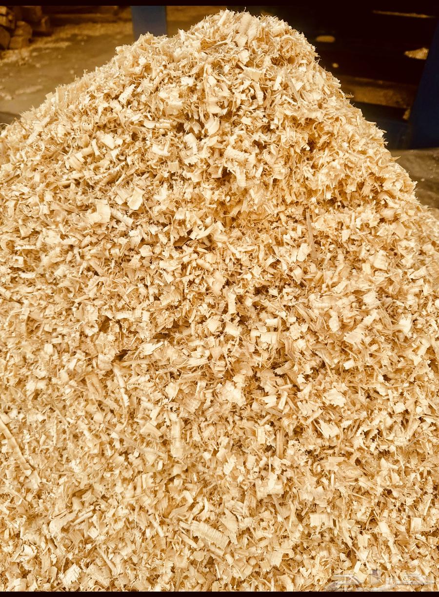 نشارة خشب64642277126402113