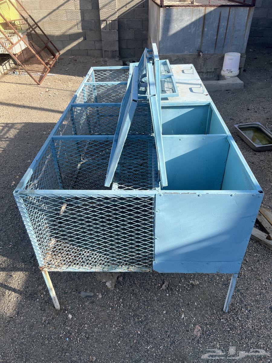 بطاريات ارانب64488574138243111