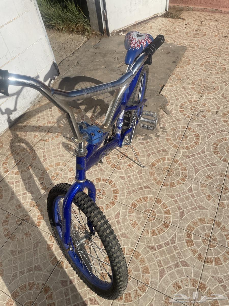 سيكل كوبرا مقاس 2064589657727106112