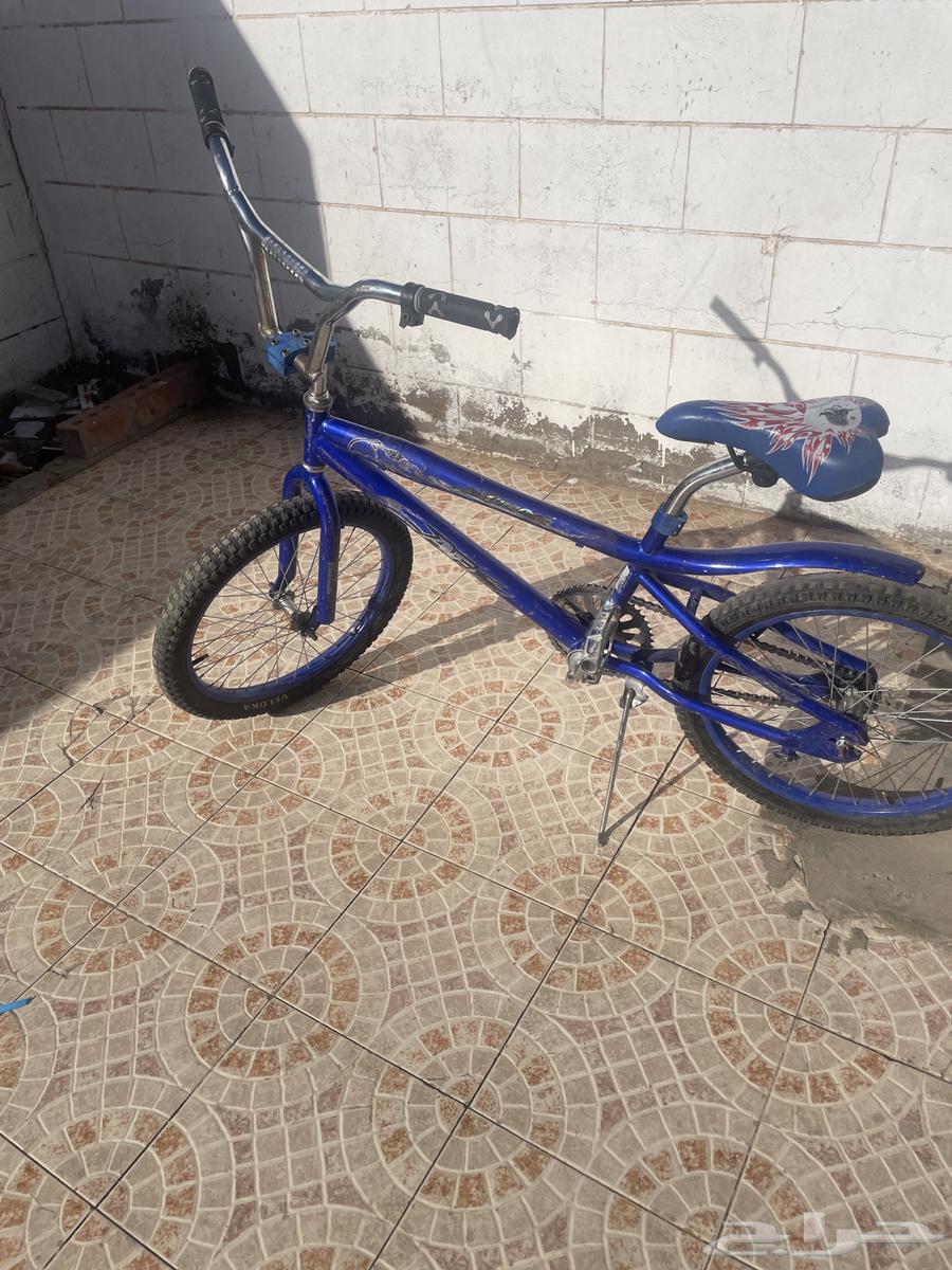 سيكل كوبرا مقاس 2064589657727106110