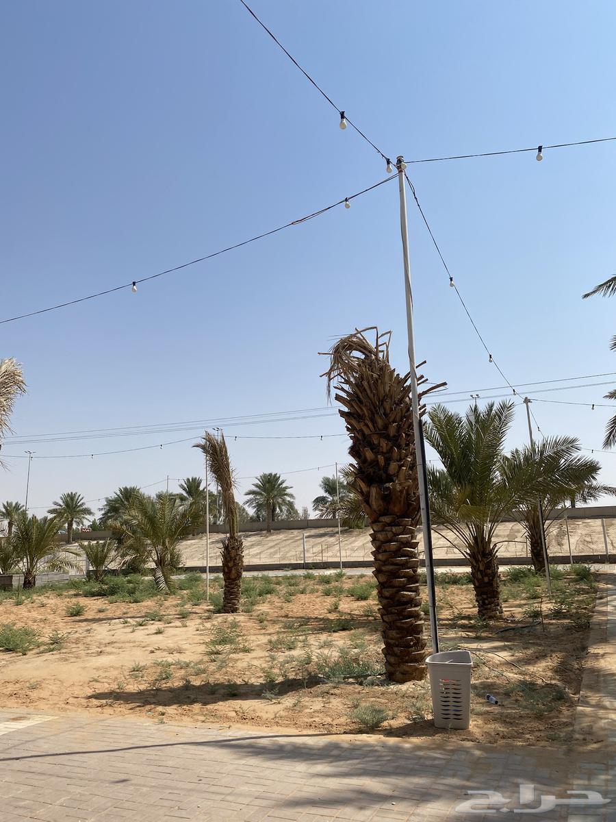 Farm items64590679928835112