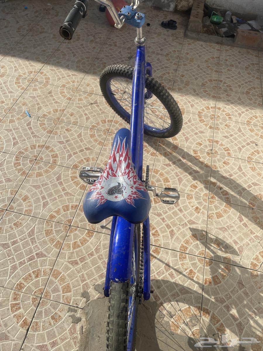 سيكل كوبرا مقاس 2064589657727106111