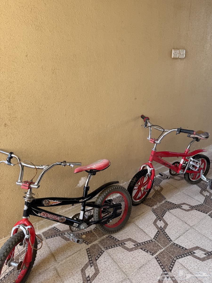 2سياكل كوبرا مستعمله شبه الجديد حجم 1464642426936451111