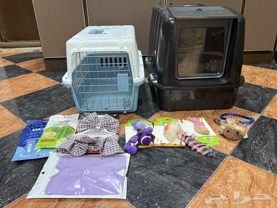 بيع أغراض قطط جديدة64638443078401110