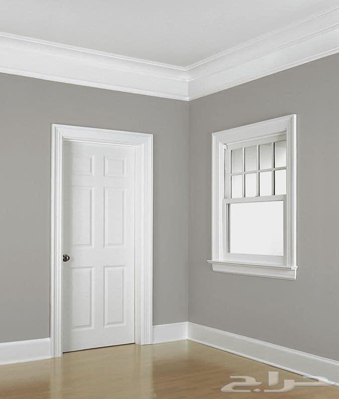 دهان باكستاني من خرج64164109537538110