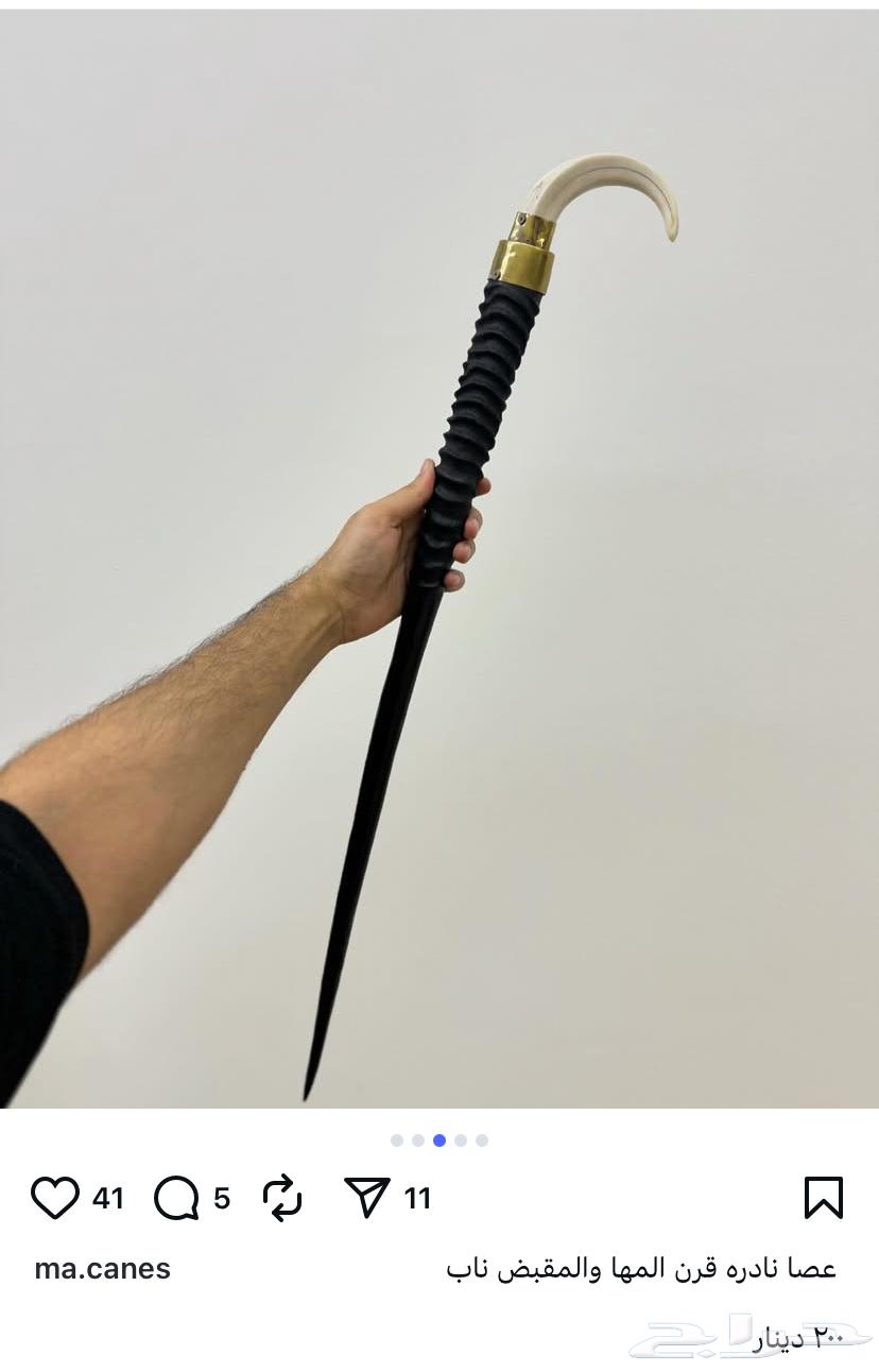 Antique cane with oryx horn handle, no defects64519667022338114