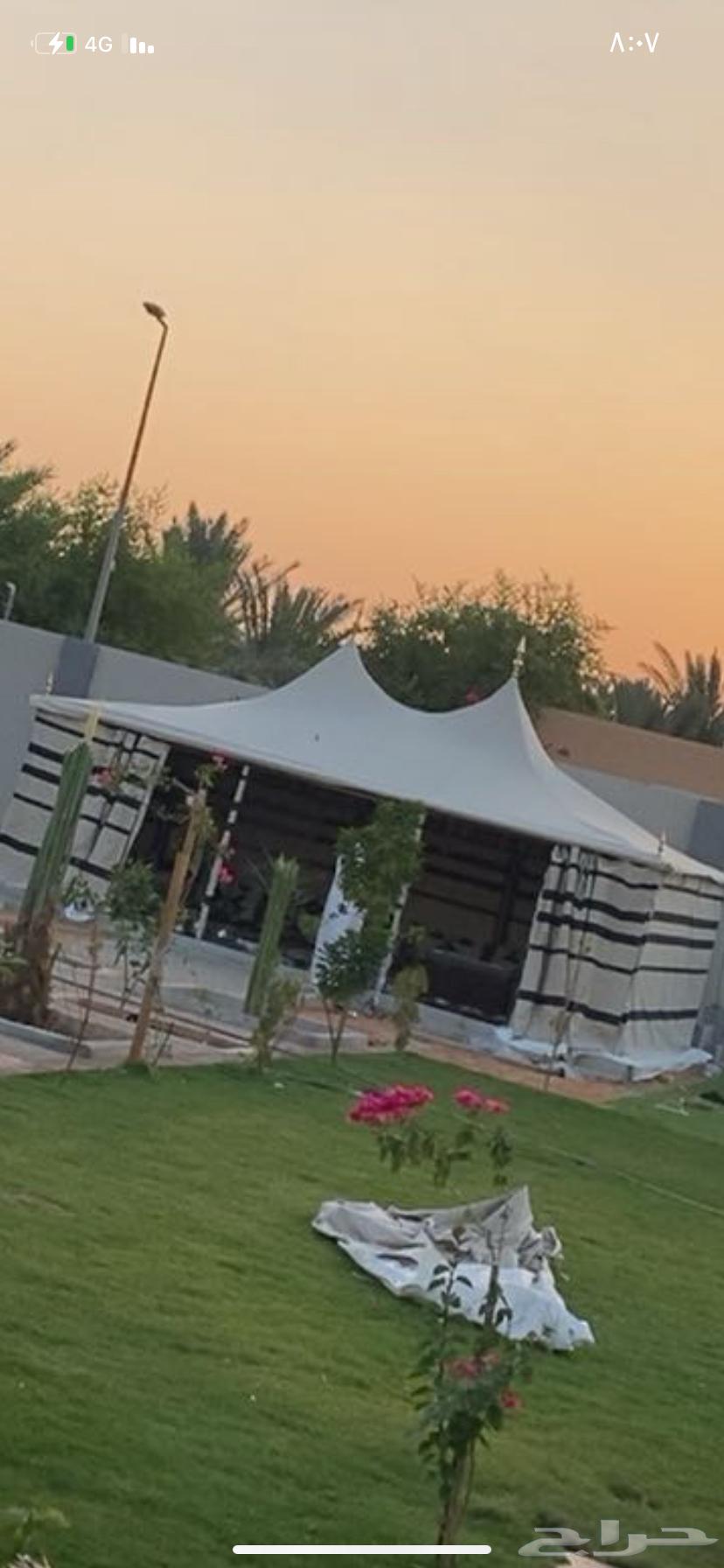 خيمة الصقور الملكيه64644791808514110