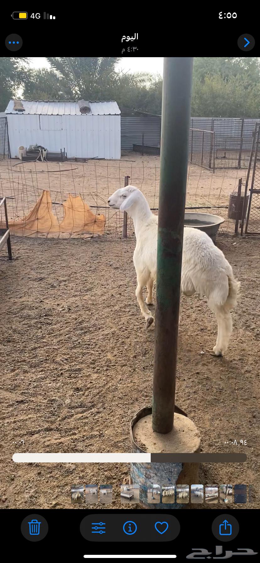 طلي حري للبيع.64639379380355110