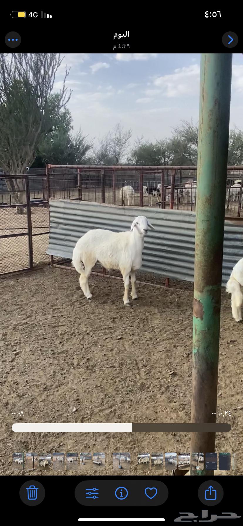 طلي حري للبيع.64639379380355113