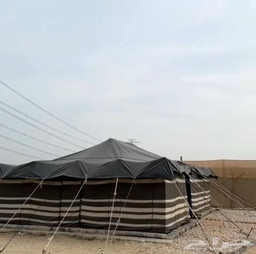 بيت شعر ألماني64640379042819110