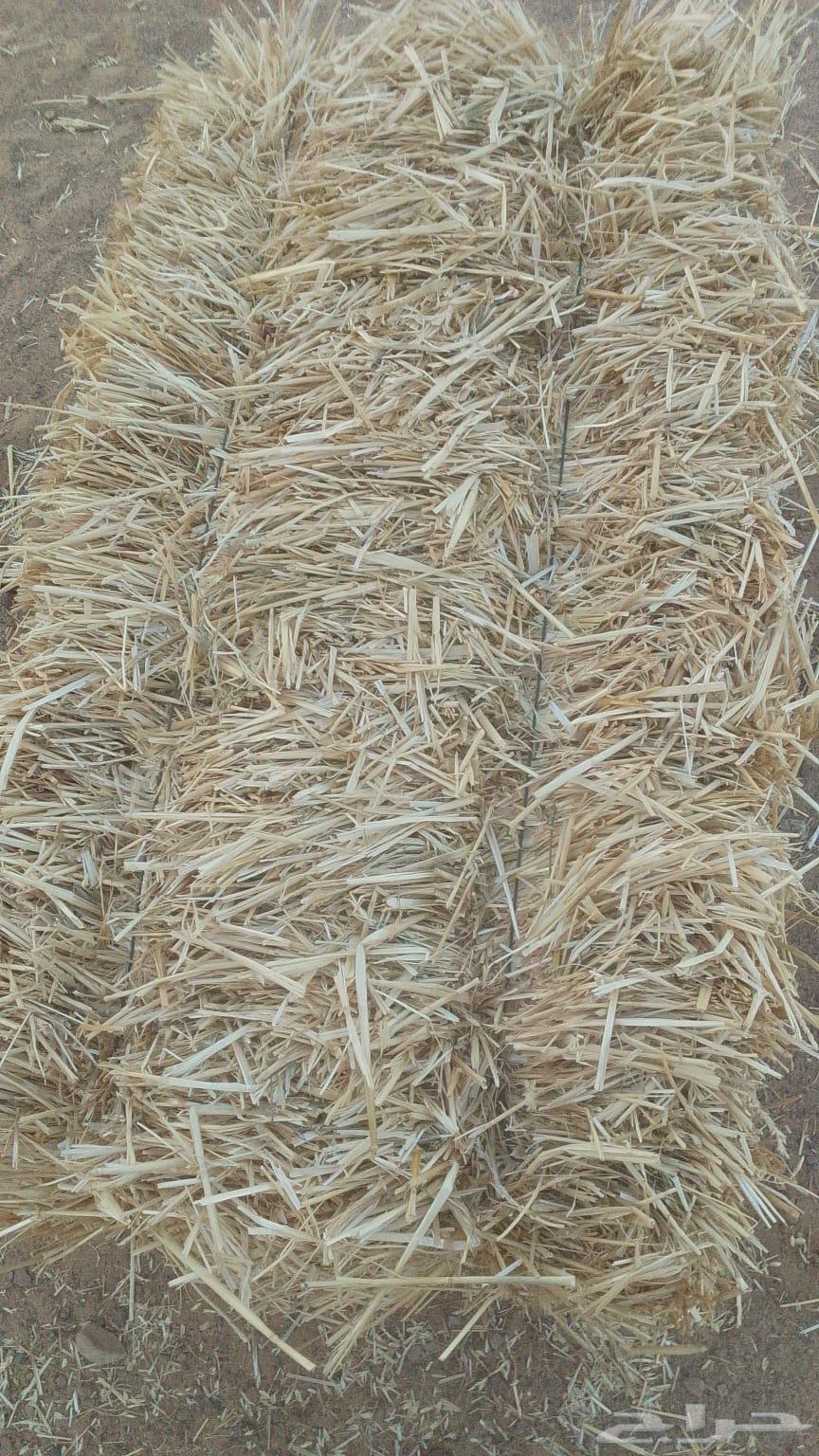 علف تبن بر الموسم64458704200193113