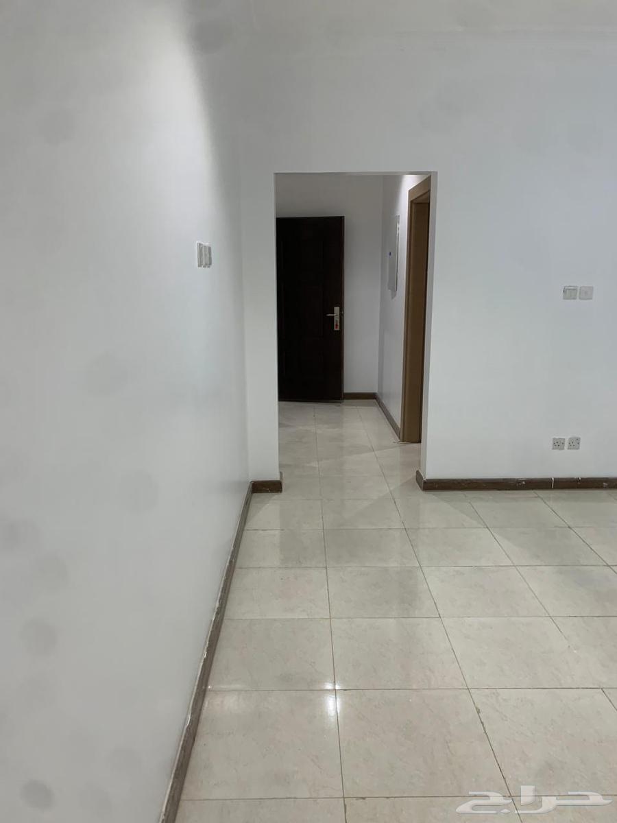 شقة للإيجار