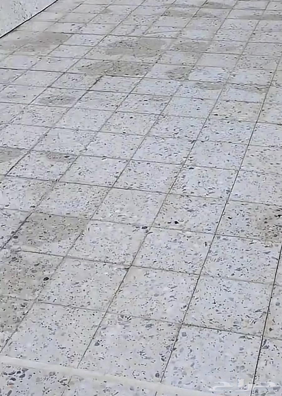 Ahmed Saif Tiles64163291702275113