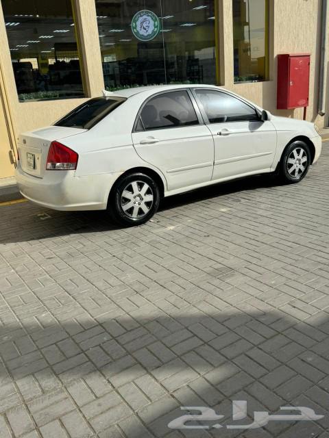 سيراتو63616442535169112